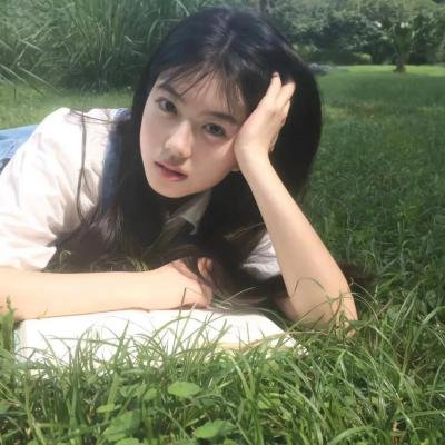 彩凤朝阳